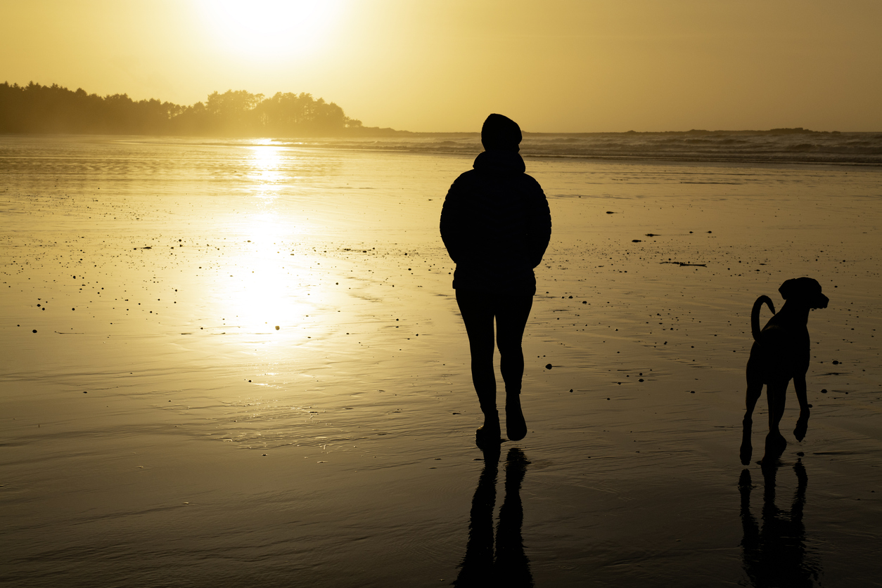 Woman walks dog on beach at sunset